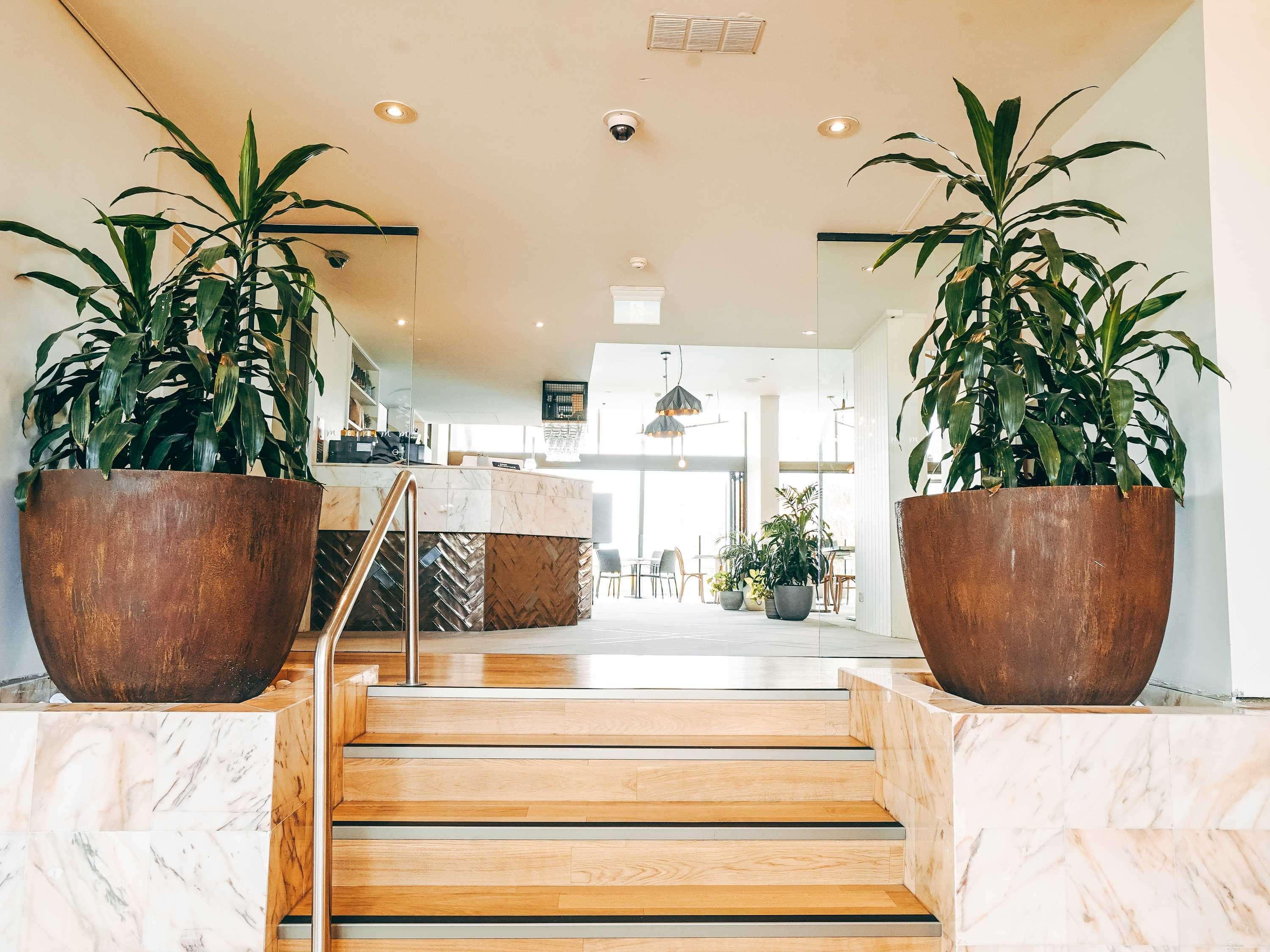 Mercure Charlestown Newcastle Ngoại thất bức ảnh